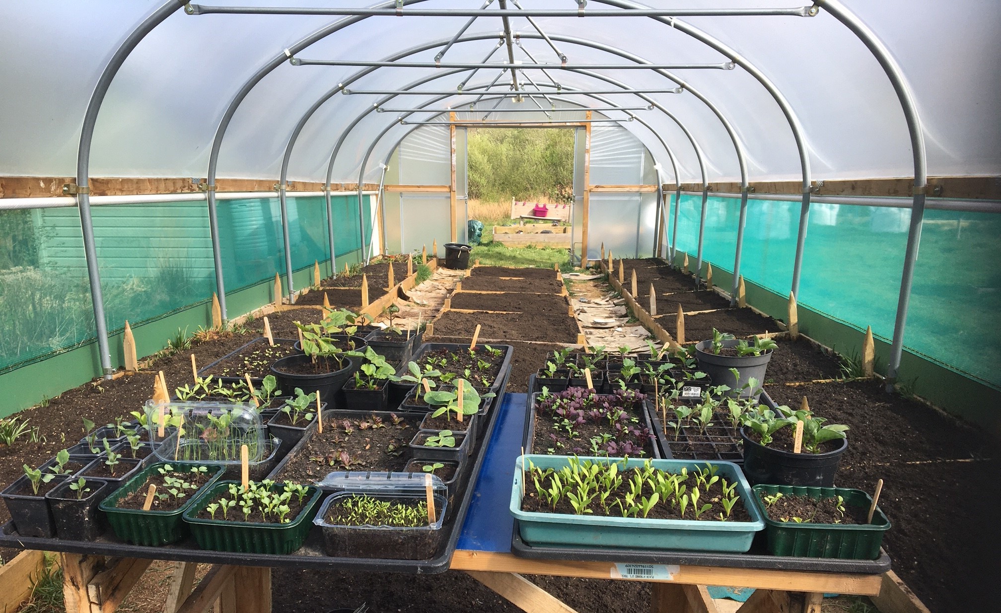 The Avant Gardeners received a grant of over £3,000 for the provision of topsoil for their polytunnel in the last round of funding.