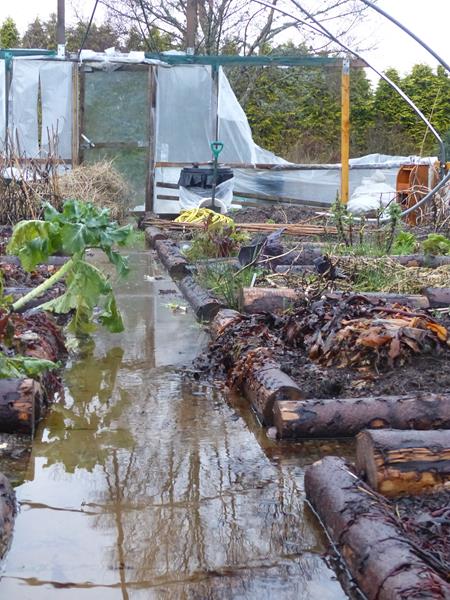 Lorn Organic Growers Flooded Polytunnel